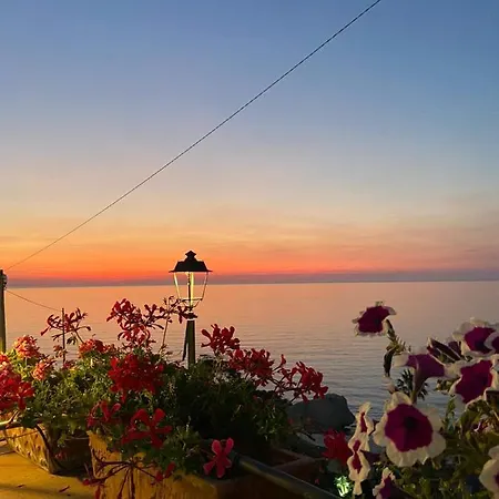 Laudato Sii Tropea